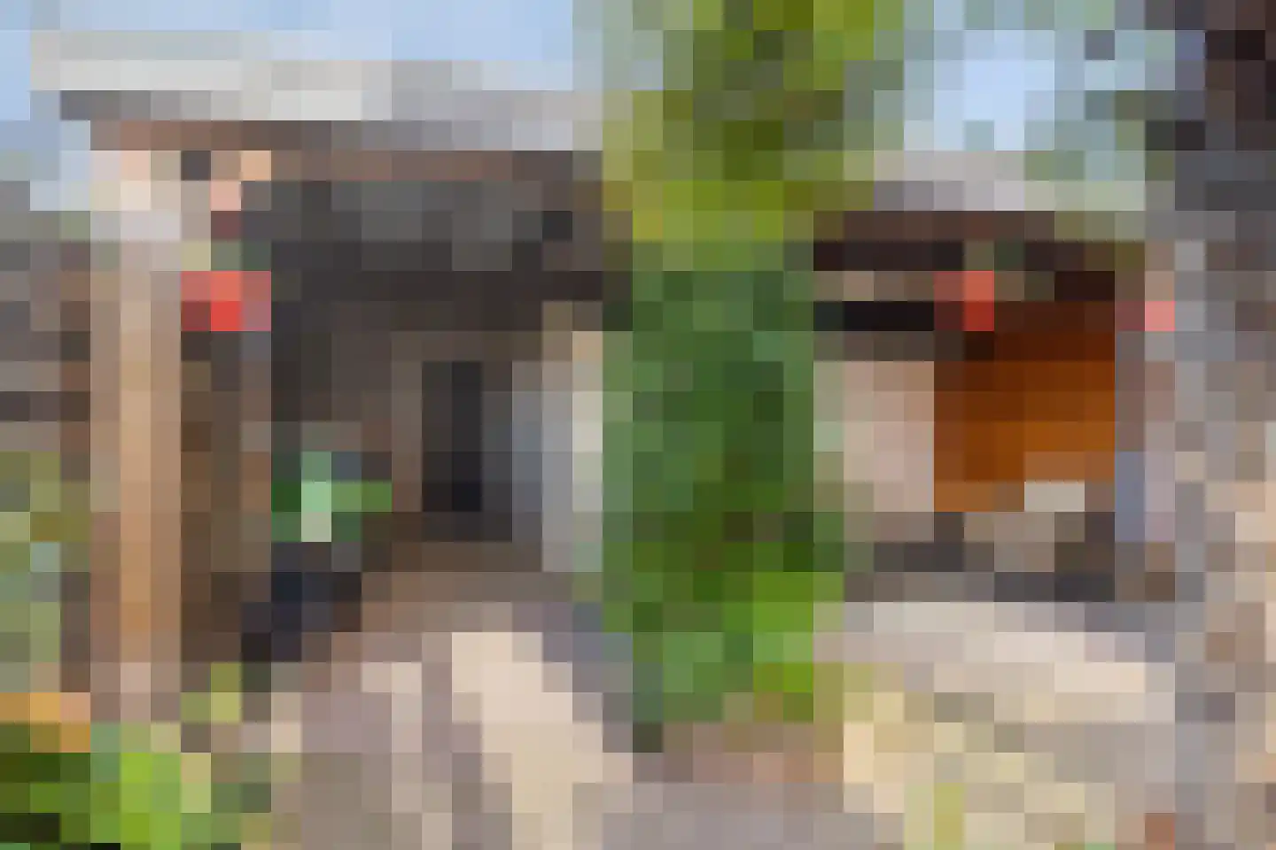 Leeuwebekstraat 1 Barneveld thumbnail 27
