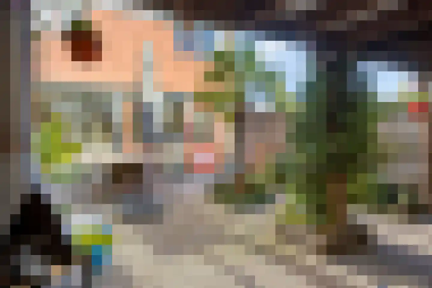 Leeuwebekstraat 1 Barneveld thumbnail 30