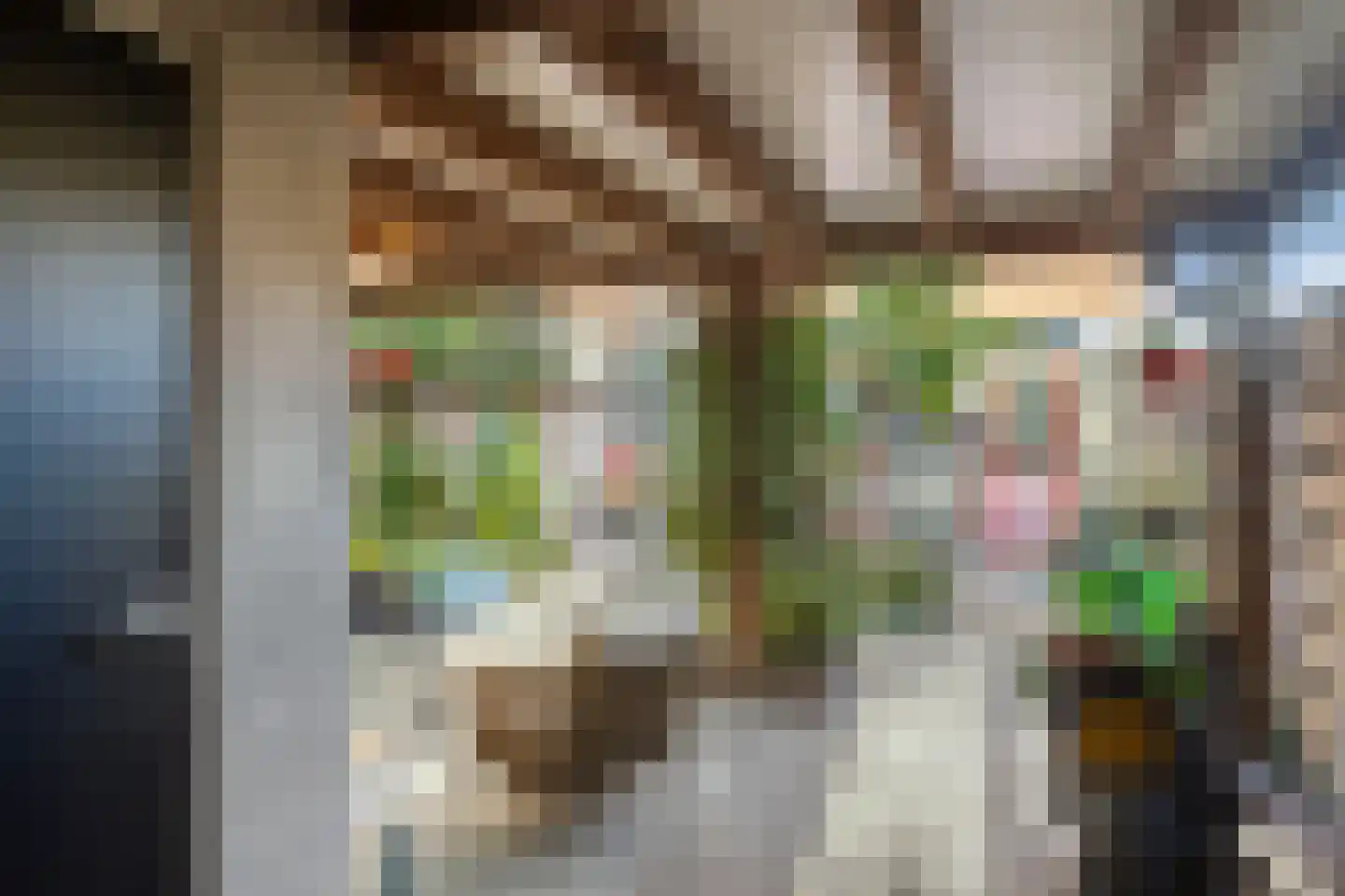 Leeuwebekstraat 1 Barneveld thumbnail 31