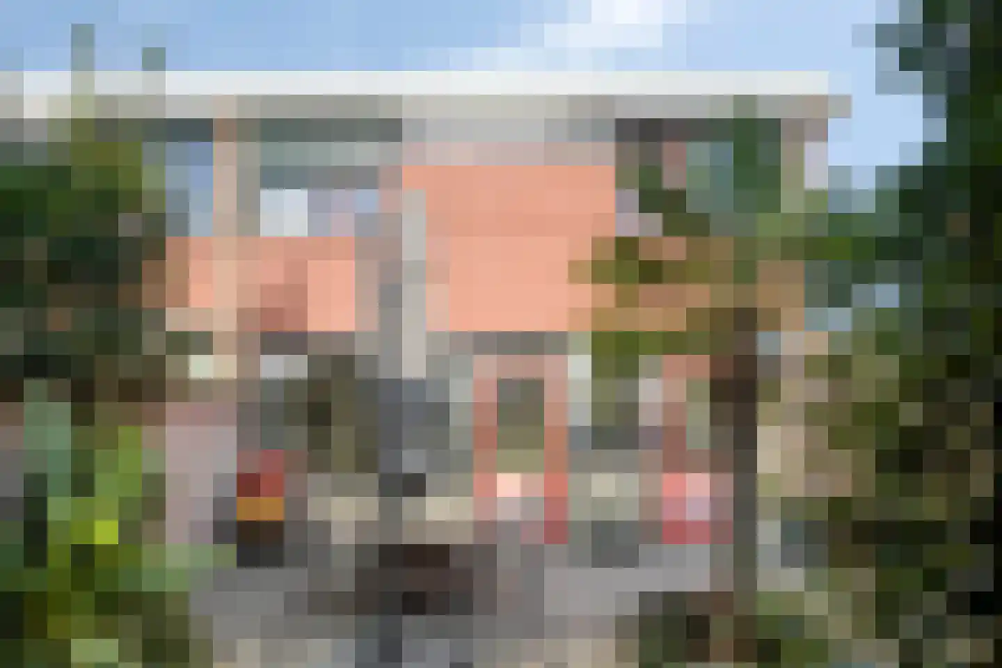 Leeuwebekstraat 1 Barneveld thumbnail 32