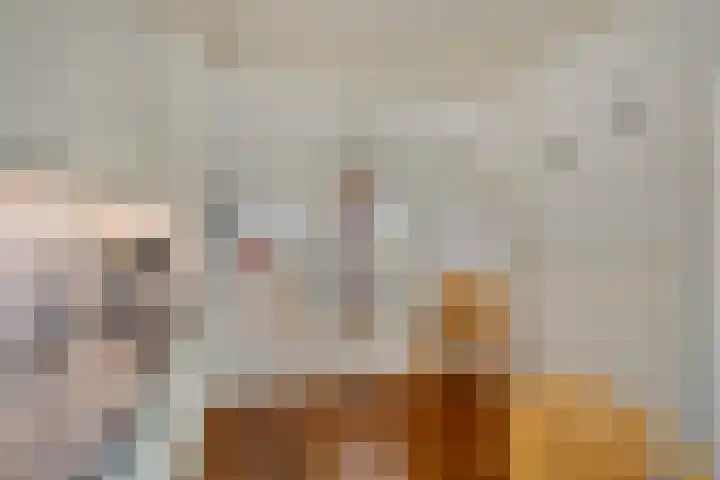 Leeuwebekstraat 11 Wijchen thumbnail 12
