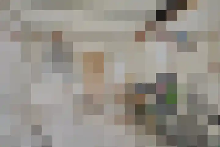 Leeuwebekstraat 11 Wijchen thumbnail 15