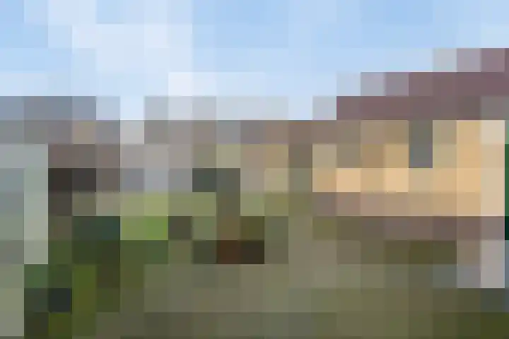 Leeuwebekstraat 11 Wijchen thumbnail 27