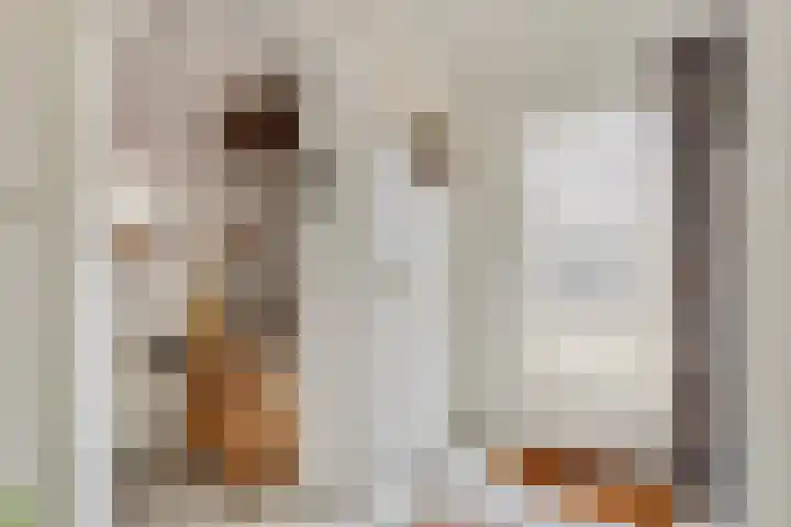 Leeuwebekstraat 11 Wijchen thumbnail 4