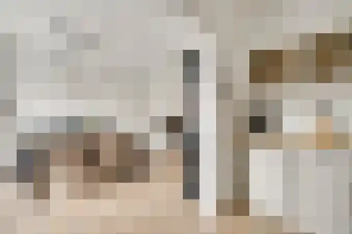 Leeuwebekstraat 5 Ospel thumbnail 13