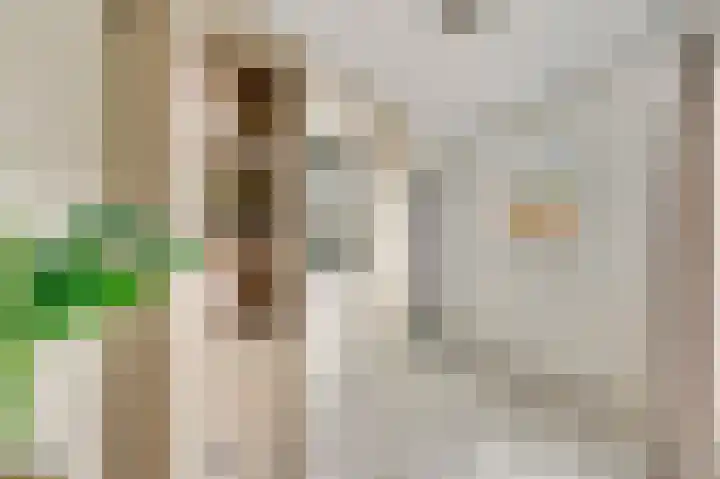 Leeuwebekstraat 5 Ospel thumbnail 14