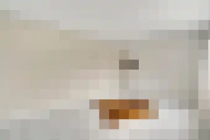 Leeuwebekstraat 5 Ospel thumbnail 16