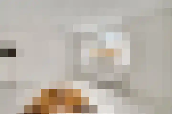 Leeuwebekstraat 5 Ospel thumbnail 17