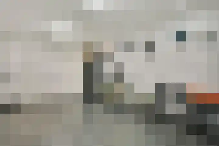Leeuwebekstraat 5 Ospel thumbnail 19