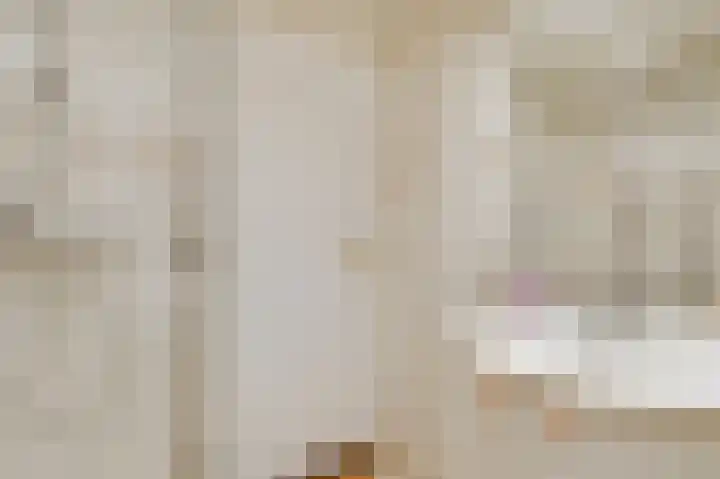 Leeuwebekstraat 5 Ospel thumbnail 32