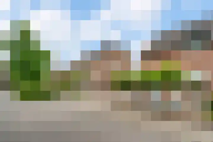 Leeuwebekstraat 5 Ospel thumbnail 35