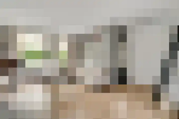 Leeuwebekstraat 5 Ospel thumbnail 7