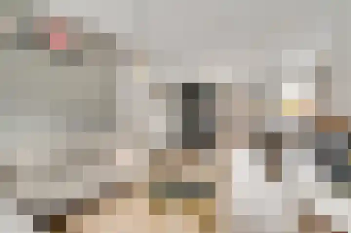 Leeuwebekstraat 5 Ospel thumbnail 8