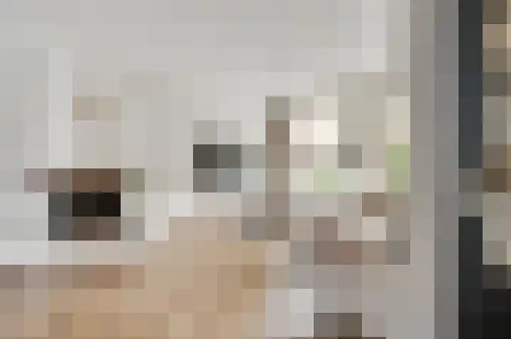 Leeuwebekstraat 5 Ospel thumbnail 9
