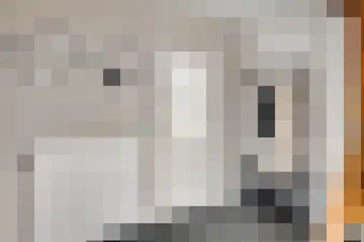 Leeuwebekstraat 54 Ospel thumbnail 12