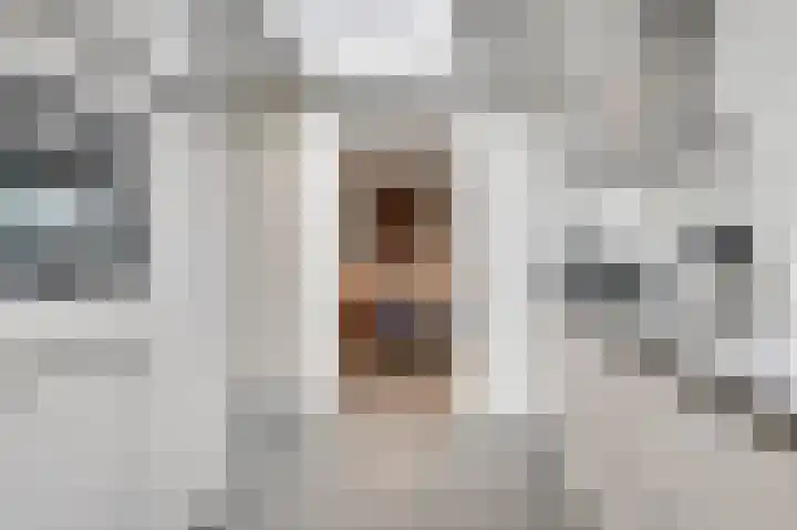 Leeuwebekstraat 54 Ospel thumbnail 22