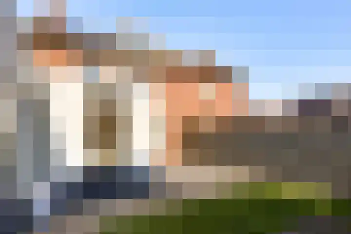 Leeuwebekstraat 54 Ospel thumbnail 27