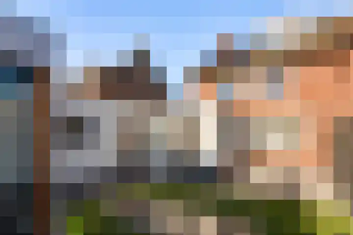 Leeuwebekstraat 54 Ospel thumbnail 4