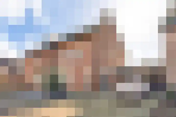 Leeuwebekstraat 54 Ospel thumbnail 7