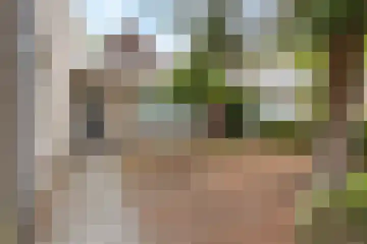Leeuwenbeklaan 36 Waalre thumbnail 10