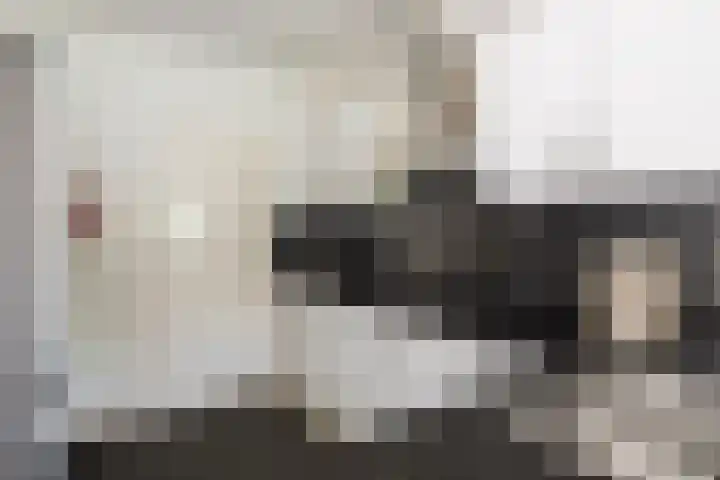 Leeuwenbeklaan 36 Waalre thumbnail 25