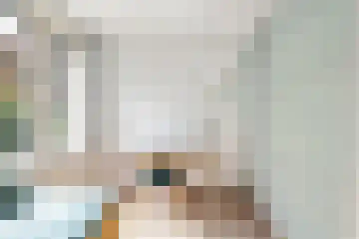 Leeuwenbeklaan 36 Waalre thumbnail 32