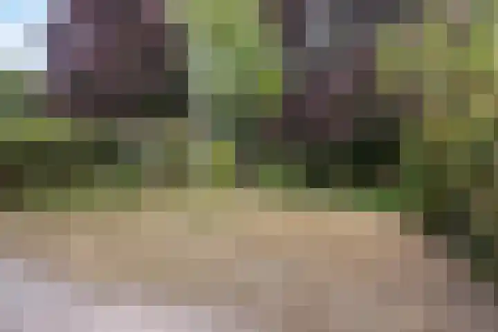 Leeuwenbeklaan 36 Waalre thumbnail 37