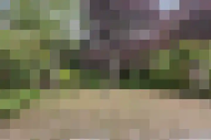 Leeuwenbeklaan 36 Waalre thumbnail 38