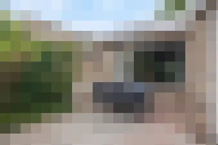 Leeuwenbeklaan 36 Waalre thumbnail 40