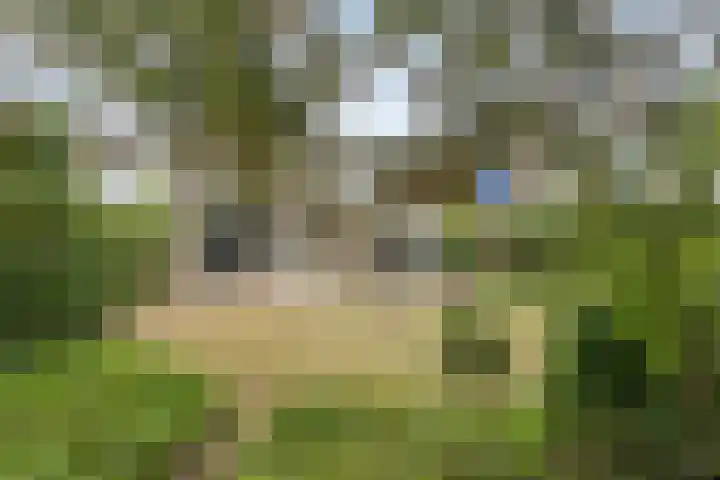 Leeuwenbeklaan 36 Waalre thumbnail 42