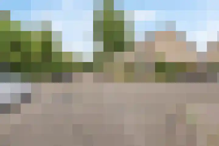 Leeuwenbeklaan 36 Waalre thumbnail 43