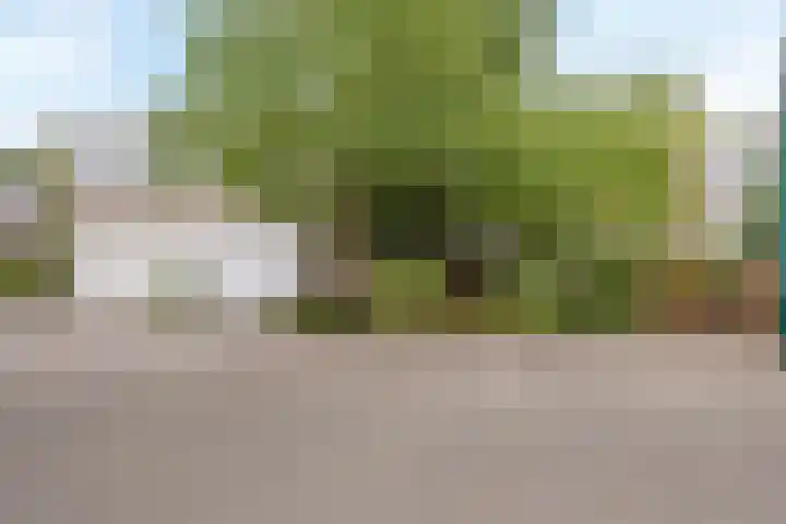 Leeuwenbeklaan 36 Waalre thumbnail 7