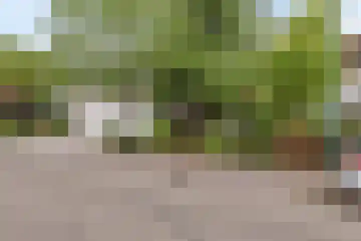 Leeuwenbeklaan 36 Waalre thumbnail 8