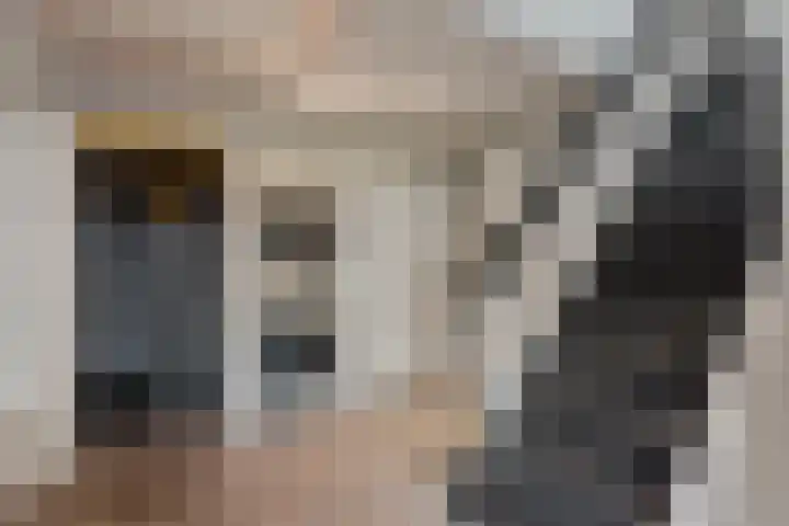 Leeuwenbeklaan 8 Waalre thumbnail 11