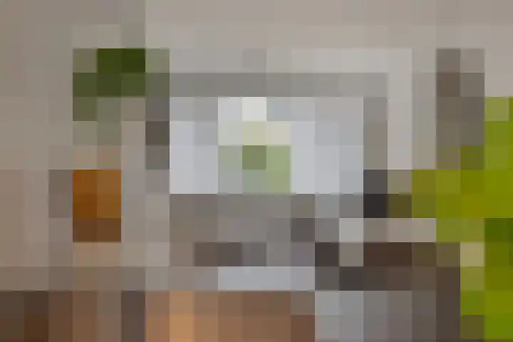 Leeuwenbeklaan 8 Waalre thumbnail 12