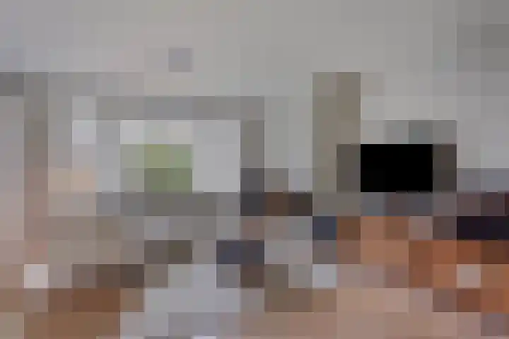 Leeuwenbeklaan 8 Waalre thumbnail 14