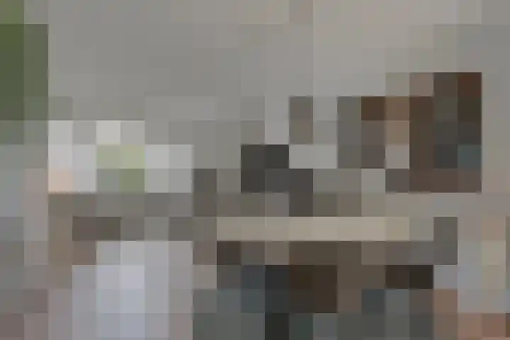 Leeuwenbeklaan 8 Waalre thumbnail 17