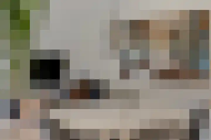 Leeuwenbeklaan 8 Waalre thumbnail 18