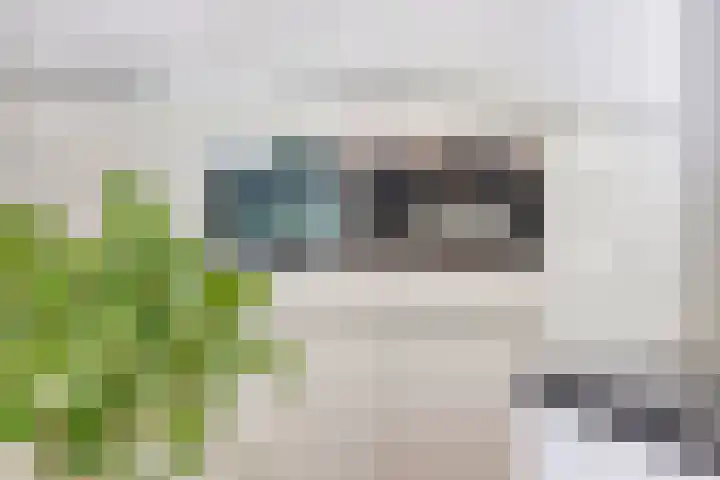 Leeuwenbeklaan 8 Waalre thumbnail 20