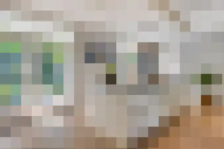 Leeuwenbeklaan 8 Waalre thumbnail 21