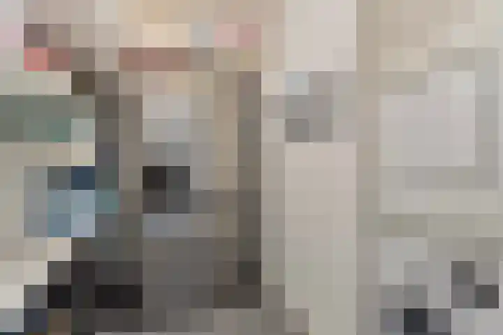 Leeuwenbeklaan 8 Waalre thumbnail 23