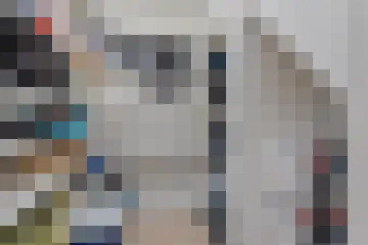 Leeuwenbeklaan 8 Waalre thumbnail 26