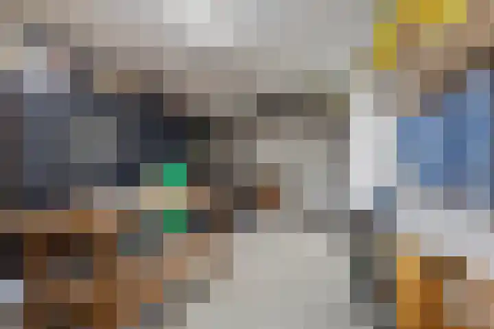 Leeuwenbeklaan 8 Waalre thumbnail 27