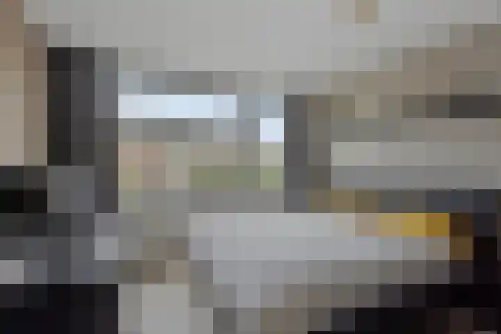 Leeuwenbeklaan 8 Waalre thumbnail 29