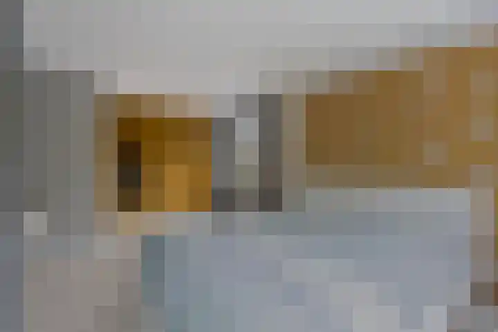 Leeuwenbeklaan 8 Waalre thumbnail 30