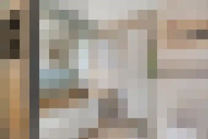 Leeuwenbeklaan 8 Waalre thumbnail 32