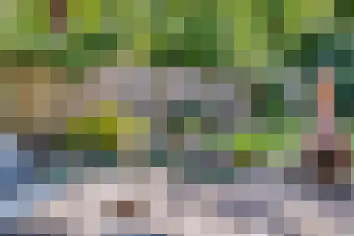 Leeuwenbeklaan 8 Waalre thumbnail 34