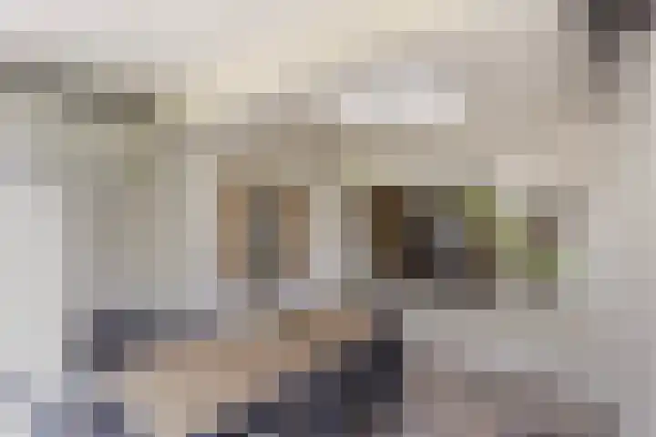 Leeuwenbeklaan 8 Waalre thumbnail 35