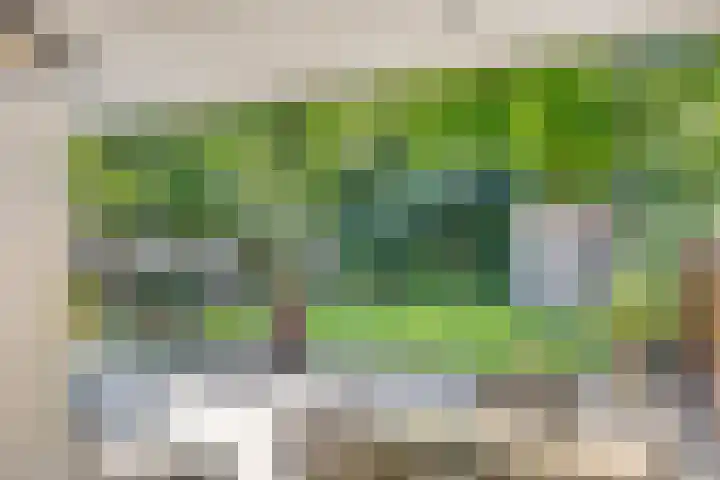 Leeuwenbeklaan 8 Waalre thumbnail 37