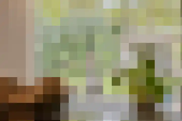 Leeuwenbeklaan 8 Waalre thumbnail 38